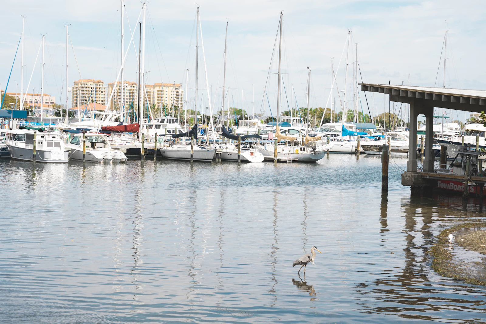 Representative image of the St. Pete Beach area — photo 1