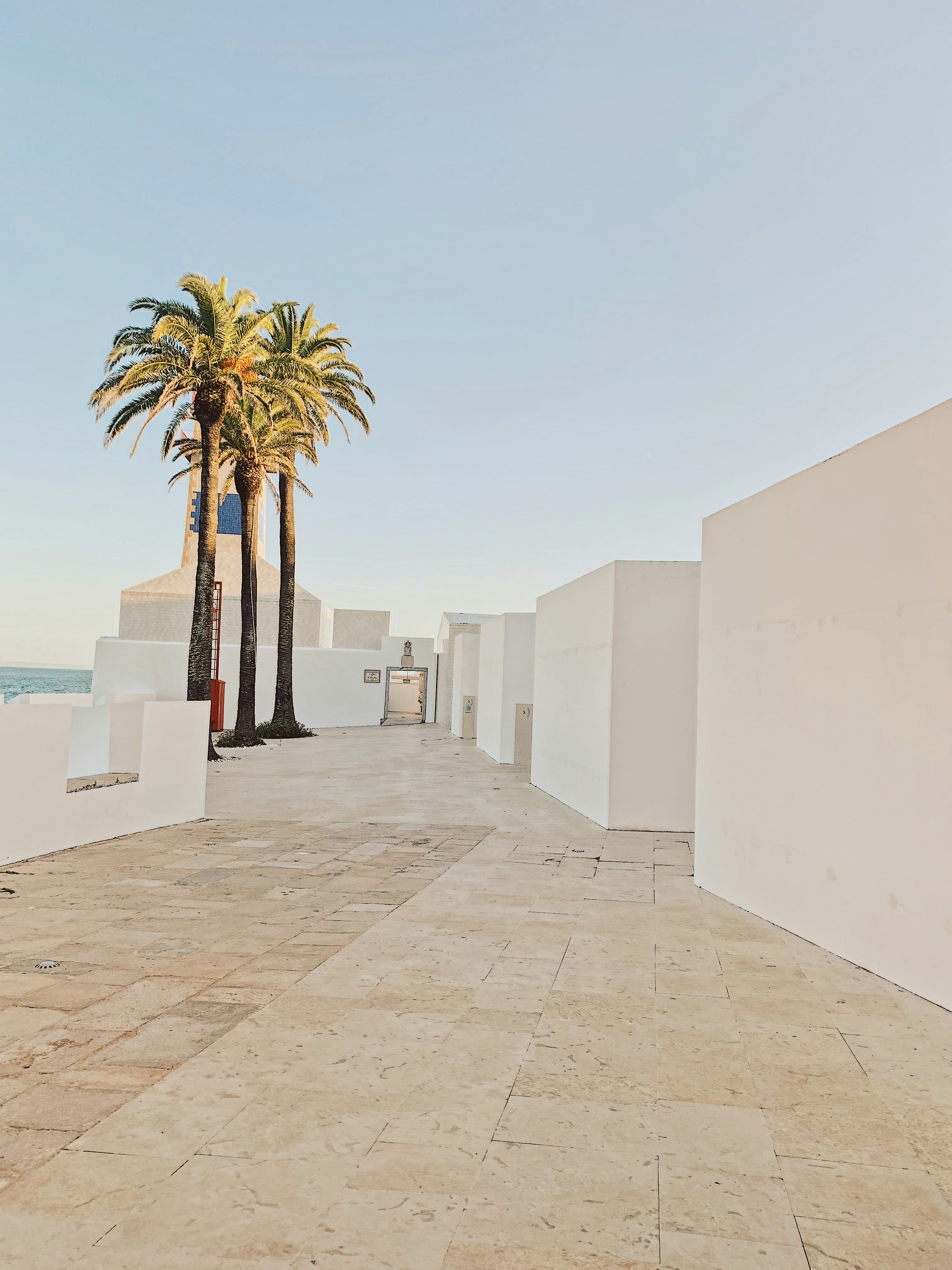 white concrete building near palm tree during daytime