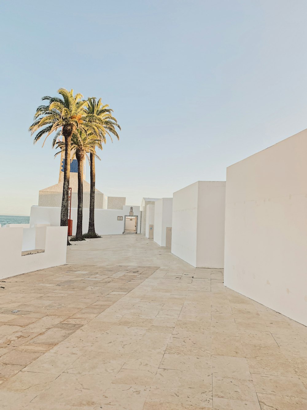 white concrete building near palm tree during daytime