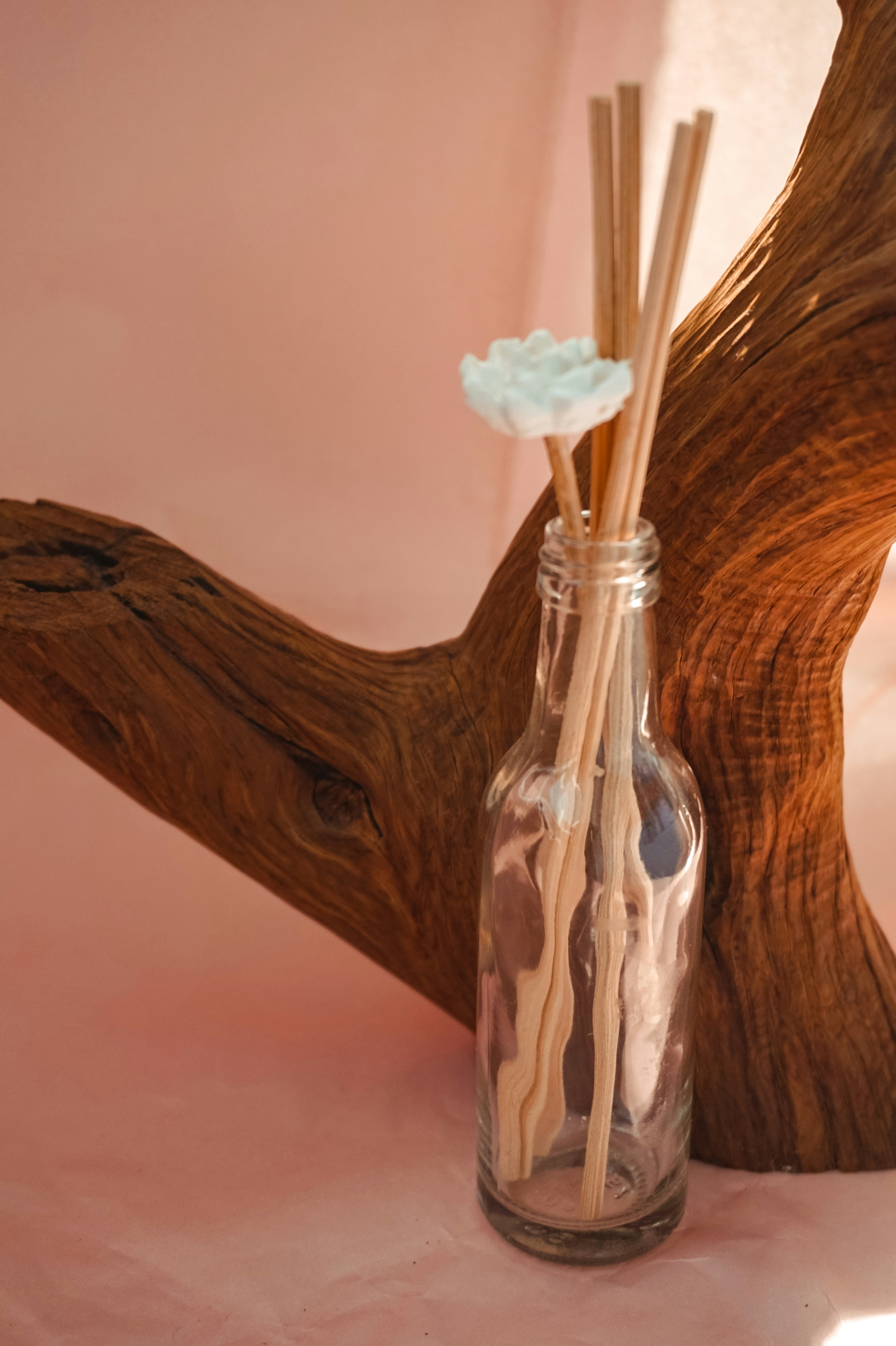 Nourishing Hair Elixir