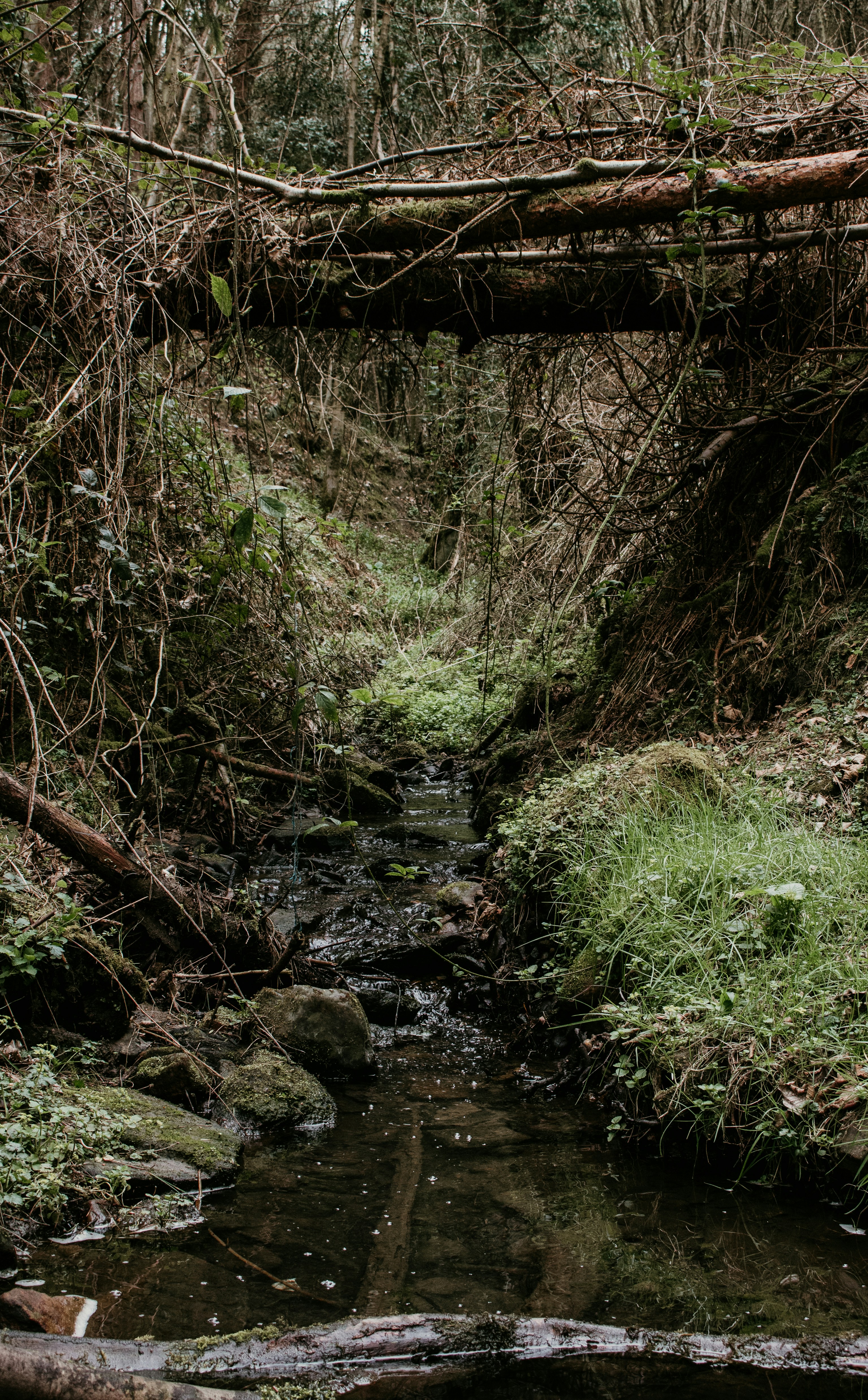 Nature is good for the soul