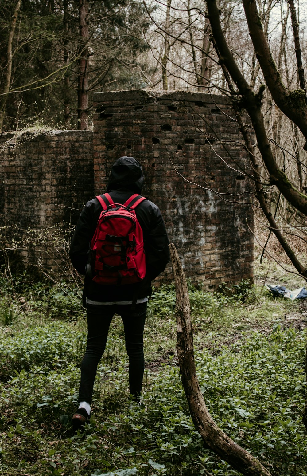 man in black and red backpack standing on green grass field during daytime