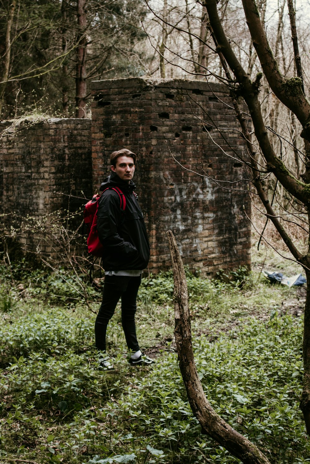 man in black and red jacket standing beside brown tree trunk during daytime