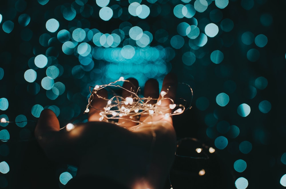 person holding string lights during night time