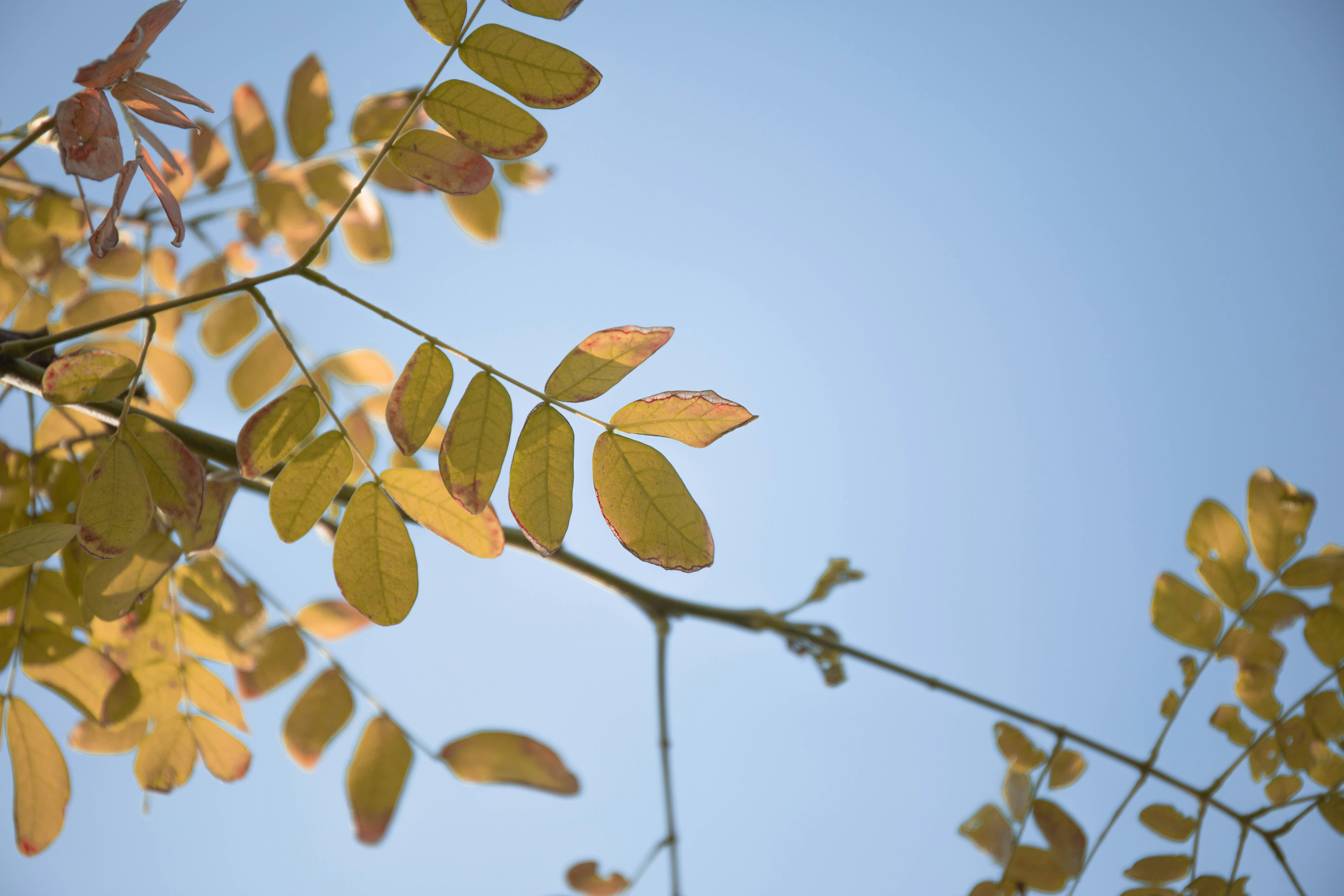 Photo by maahidphotos