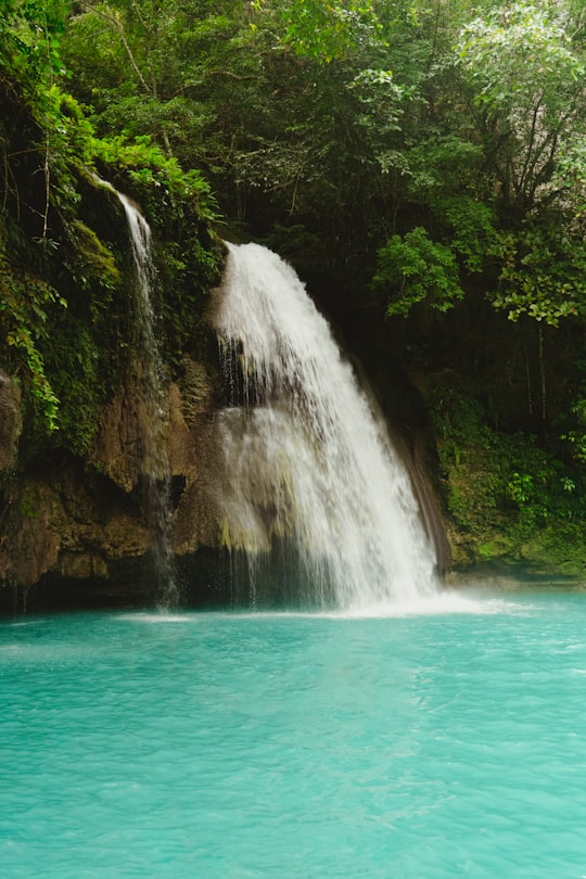 waterfalls in the middle of the forest in Kawasan Falls Philippines