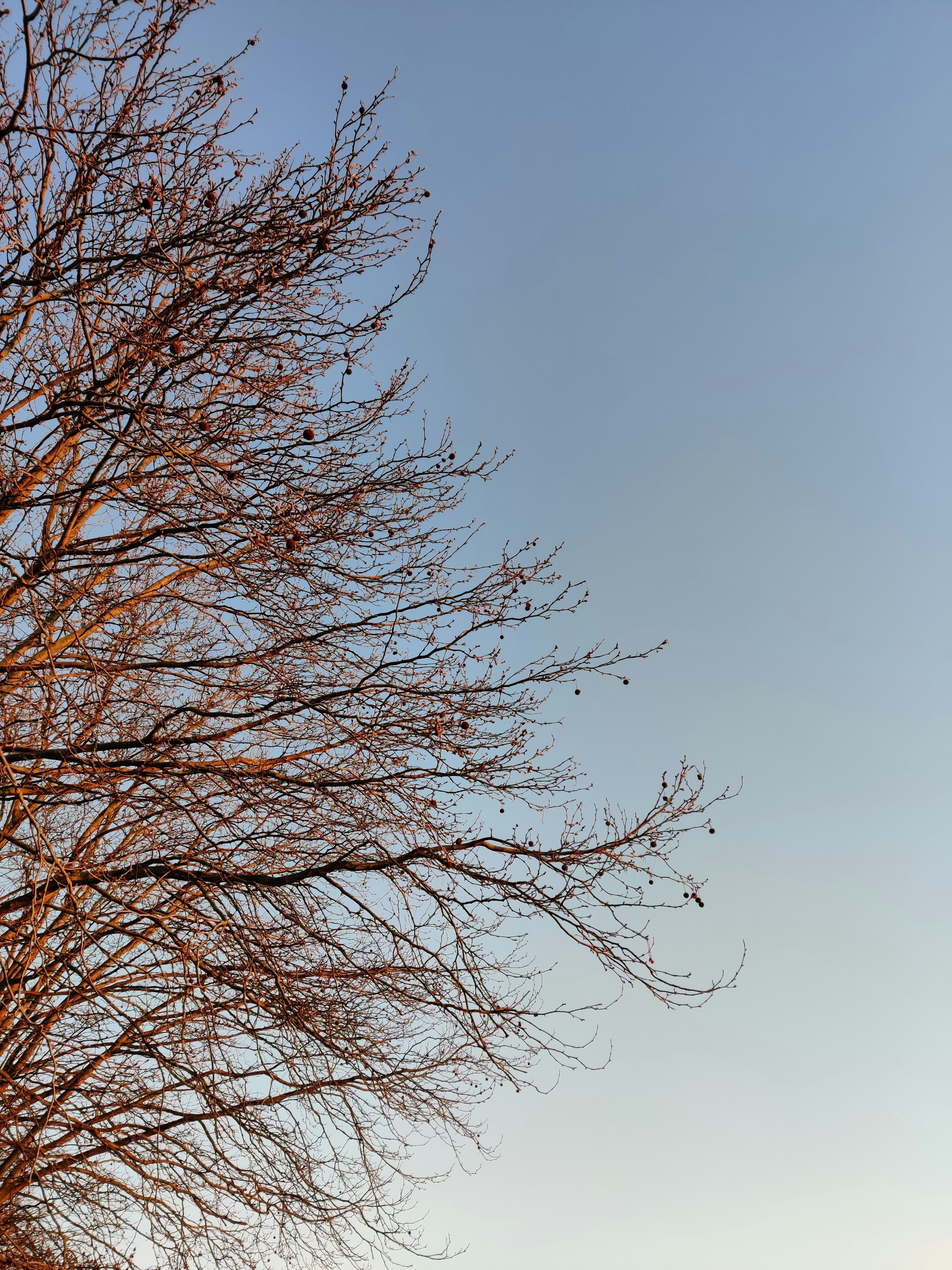 Photo by elke_vermeersch