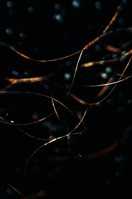 Thin strands of material, possibly hair or fibers, illuminated against a dark background create a vibrant contrast with occasional bright reflections. The overall composition gives a sense of intricate complexity and delicate structure.