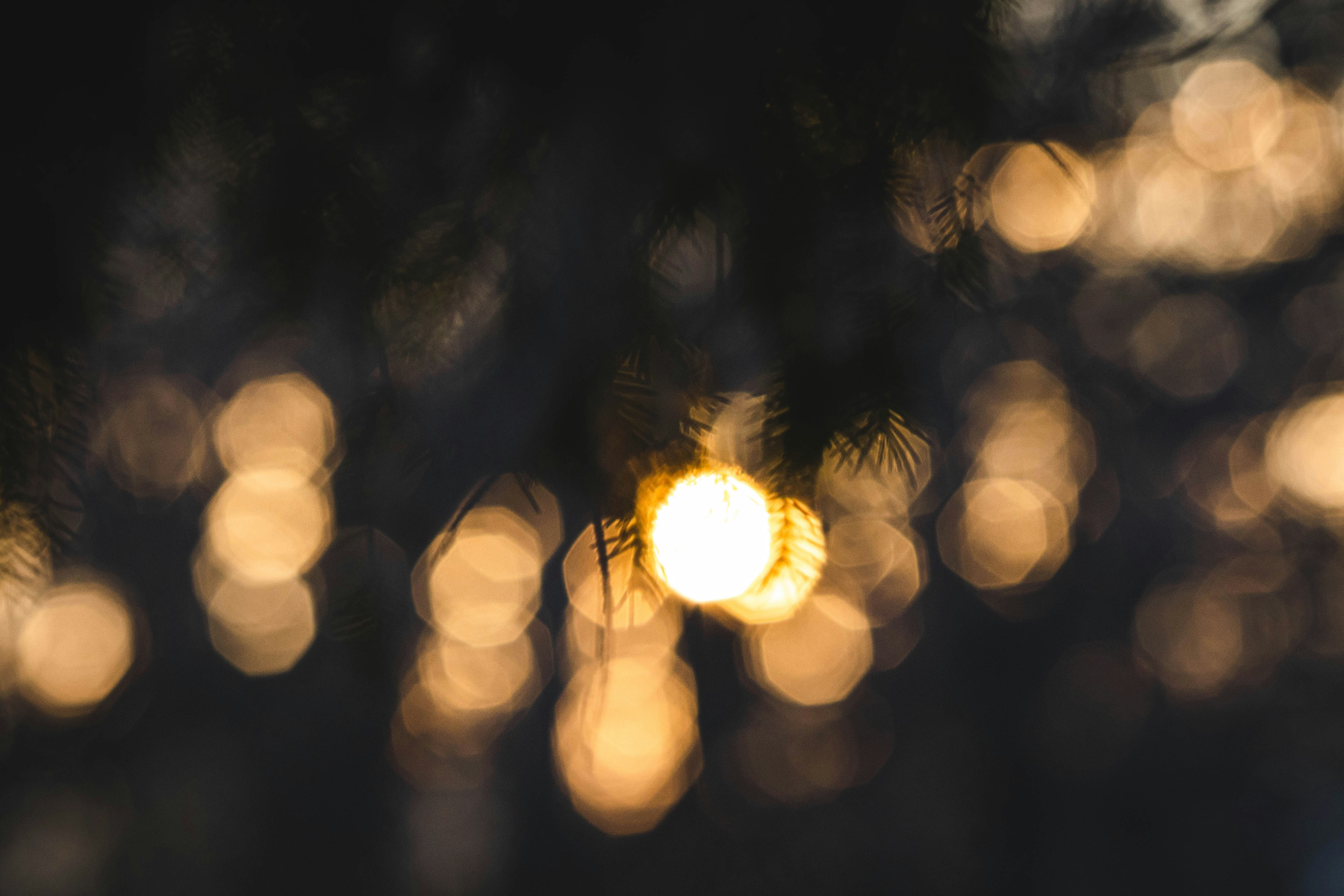 Photo by cole_wyland_24