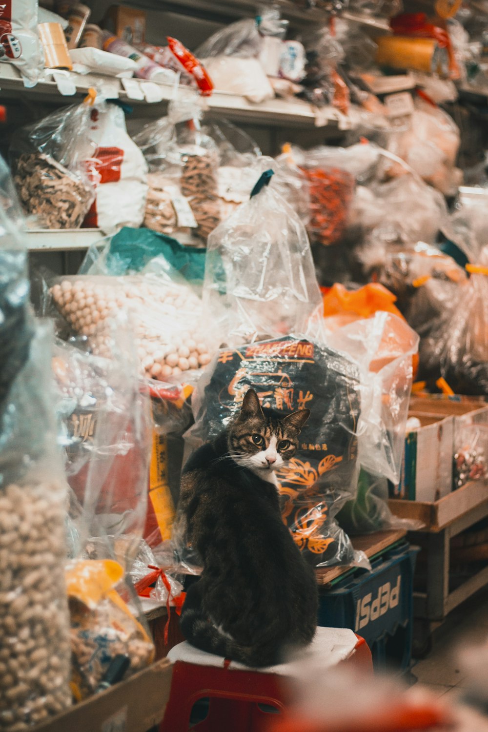 assorted plastic bags on brown wooden table