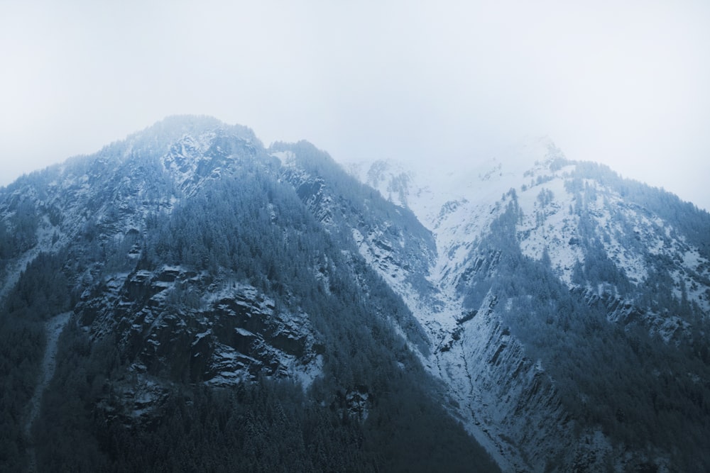 gray and white mountains under white sky