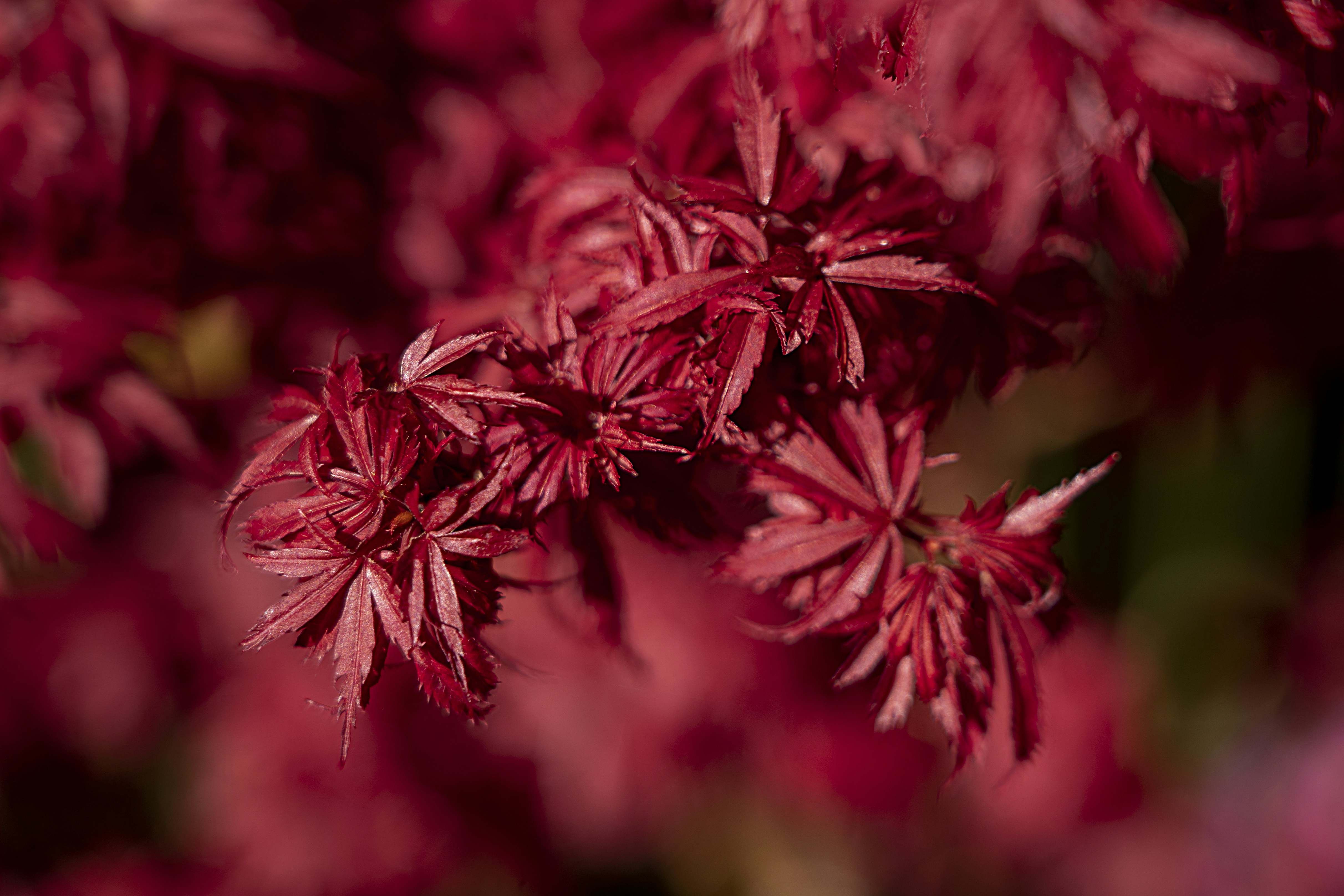 Photo by jannerboy62