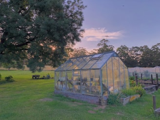 A greenhouse situated in a lush, green field surrounded by trees under a clear evening sky. The sunlight filters through the trees, casting soft shadows on the grass. Inside the greenhouse, there are visible plants and gardening tools.