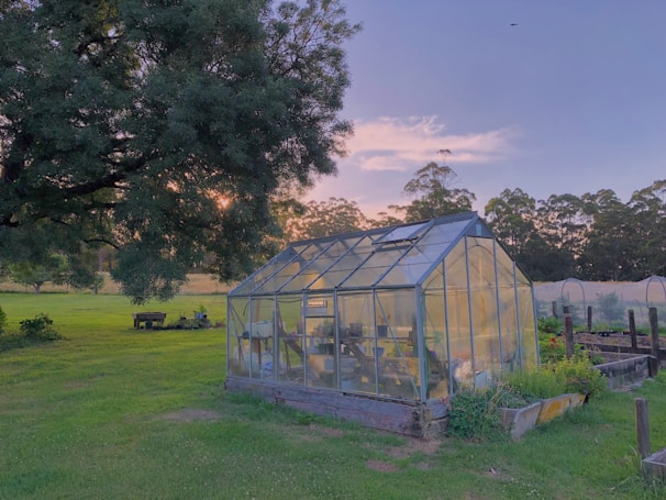 A greenhouse situated in a lush, green field surrounded by trees under a clear evening sky. The sunlight filters through the trees, casting soft shadows on the grass. Inside the greenhouse, there are visible plants and gardening tools.
