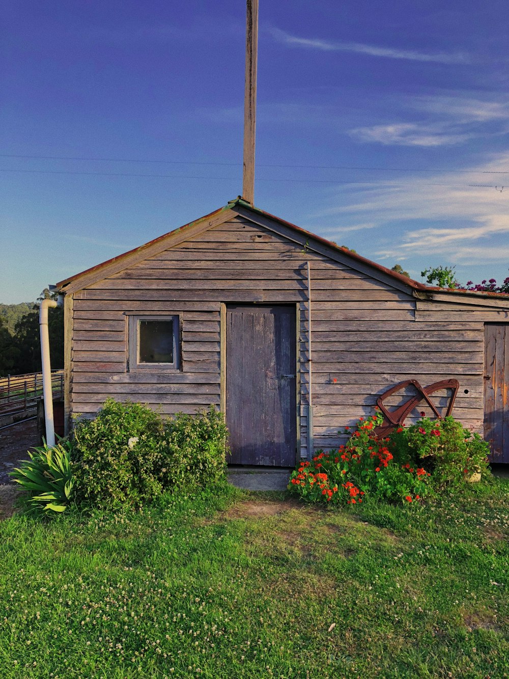 brown wooden house on green grass field under blue sky during daytime