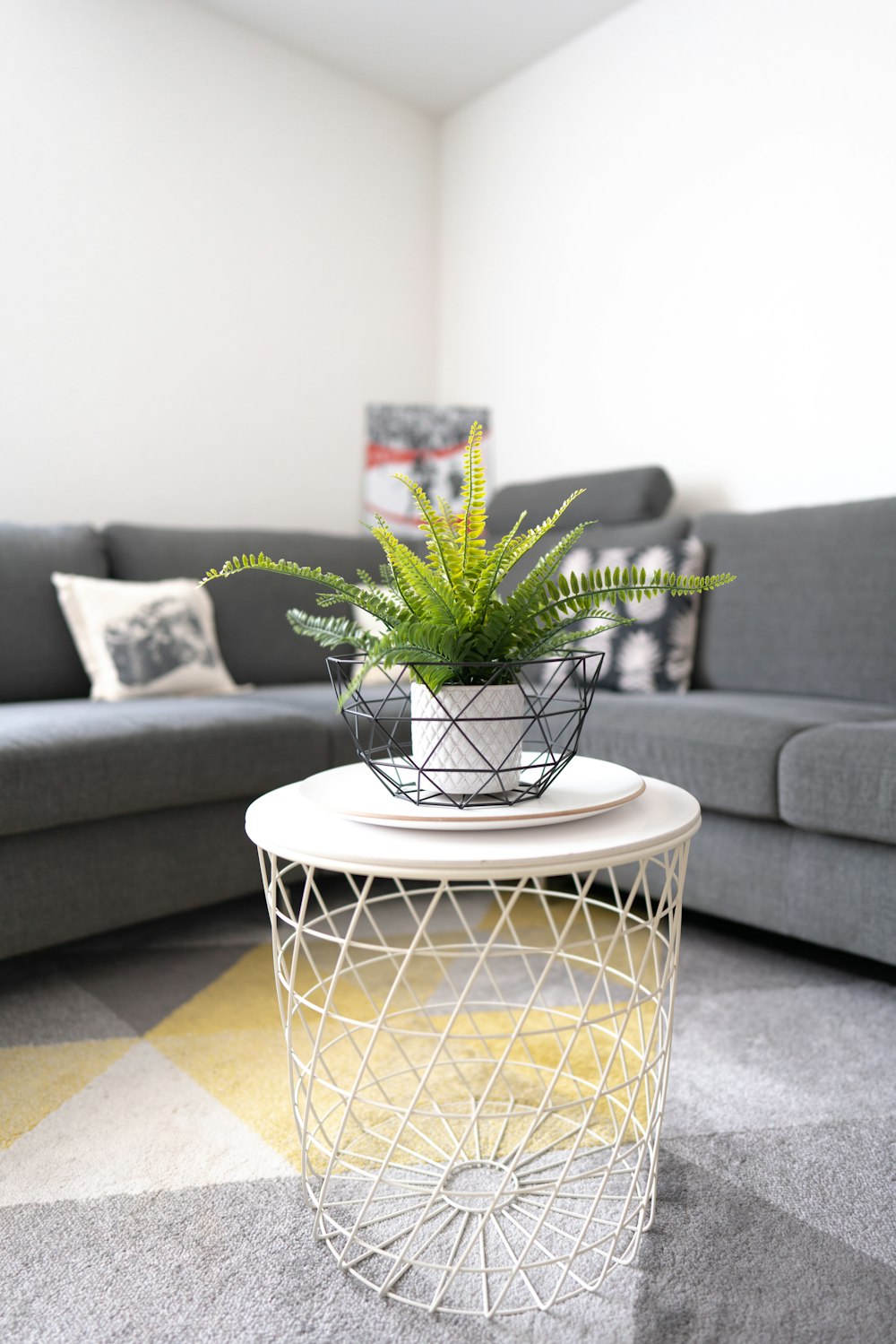 green plant on white round table