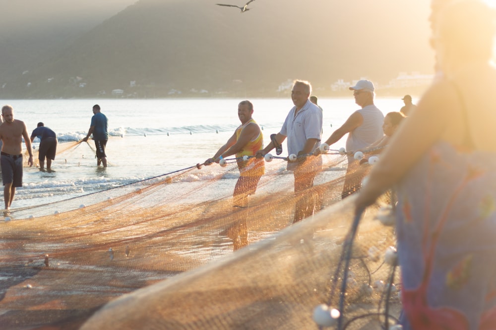 people on beach during daytime