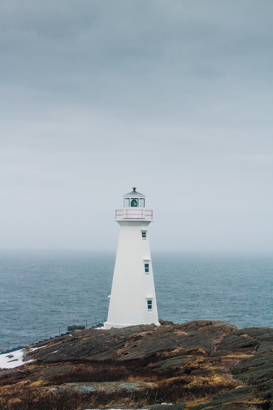 white lighthouse near body of water during daytime in Cape Spear Canada