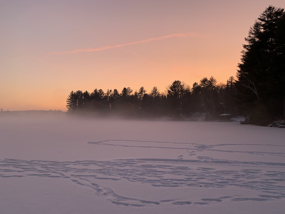 trees on snow covered ground during sunset