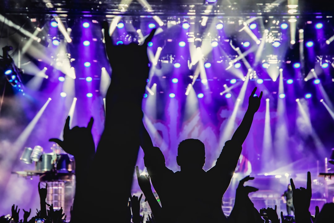 silhouette of people standing on concert