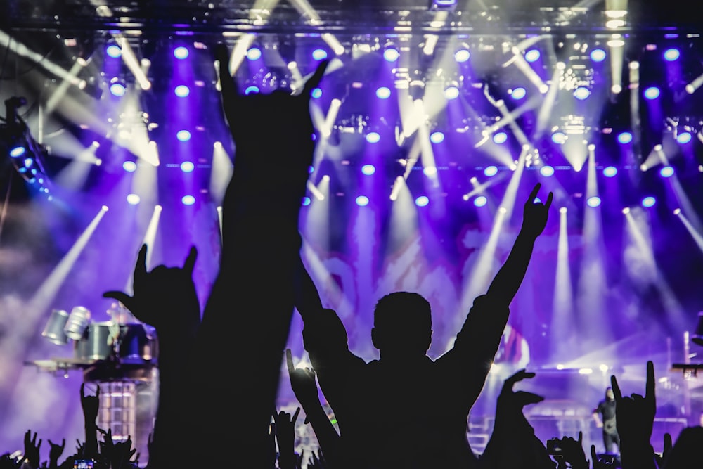 silhouette of people standing on concert