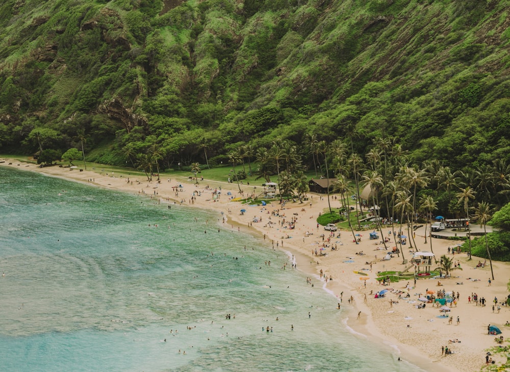 Gente en la playa durante el día