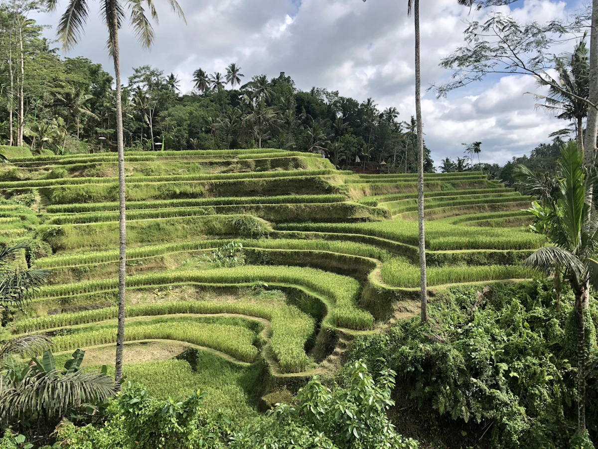 Scenic highlights of Pura Mengening Hidden Waterfall & Valley Springs in Tampaksiring / Ubud
