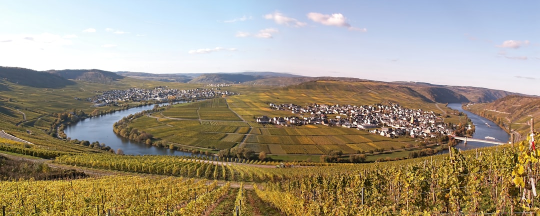 photo of Leiwen Plain near Saarschleife