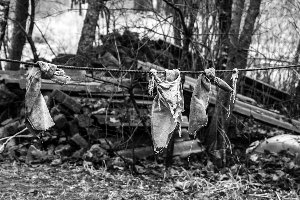 grayscale photo of a person wearing pants and shoes standing on a forest