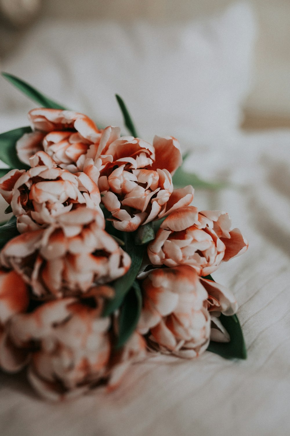 red and white flowers on white textile