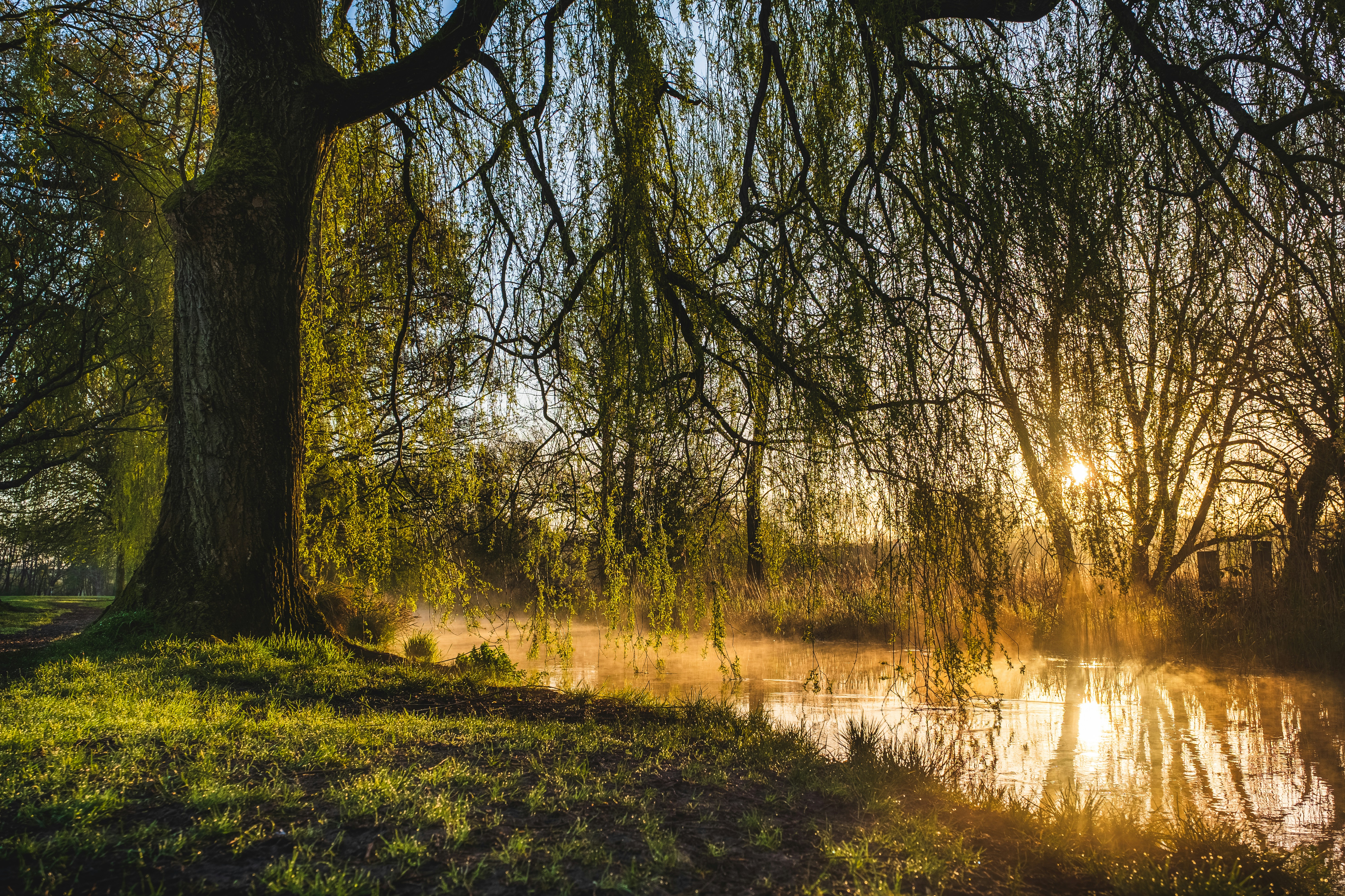 2023 NHL Draft Profile: Tom Willander