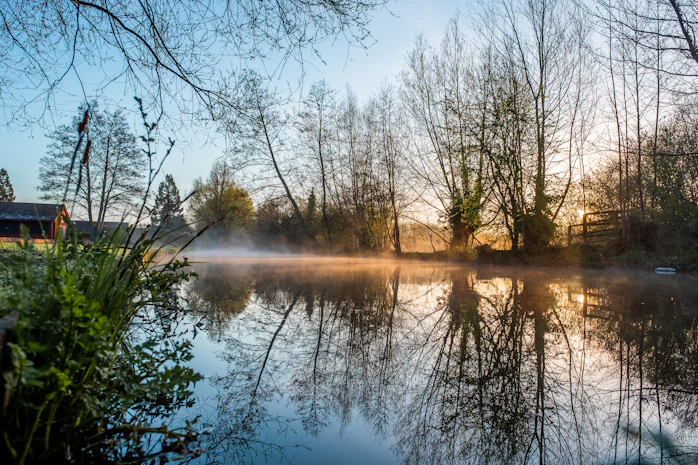 A serene lakeside scene at dawn with mist rising over calm water and pine trees silhouetted against a soft sky.