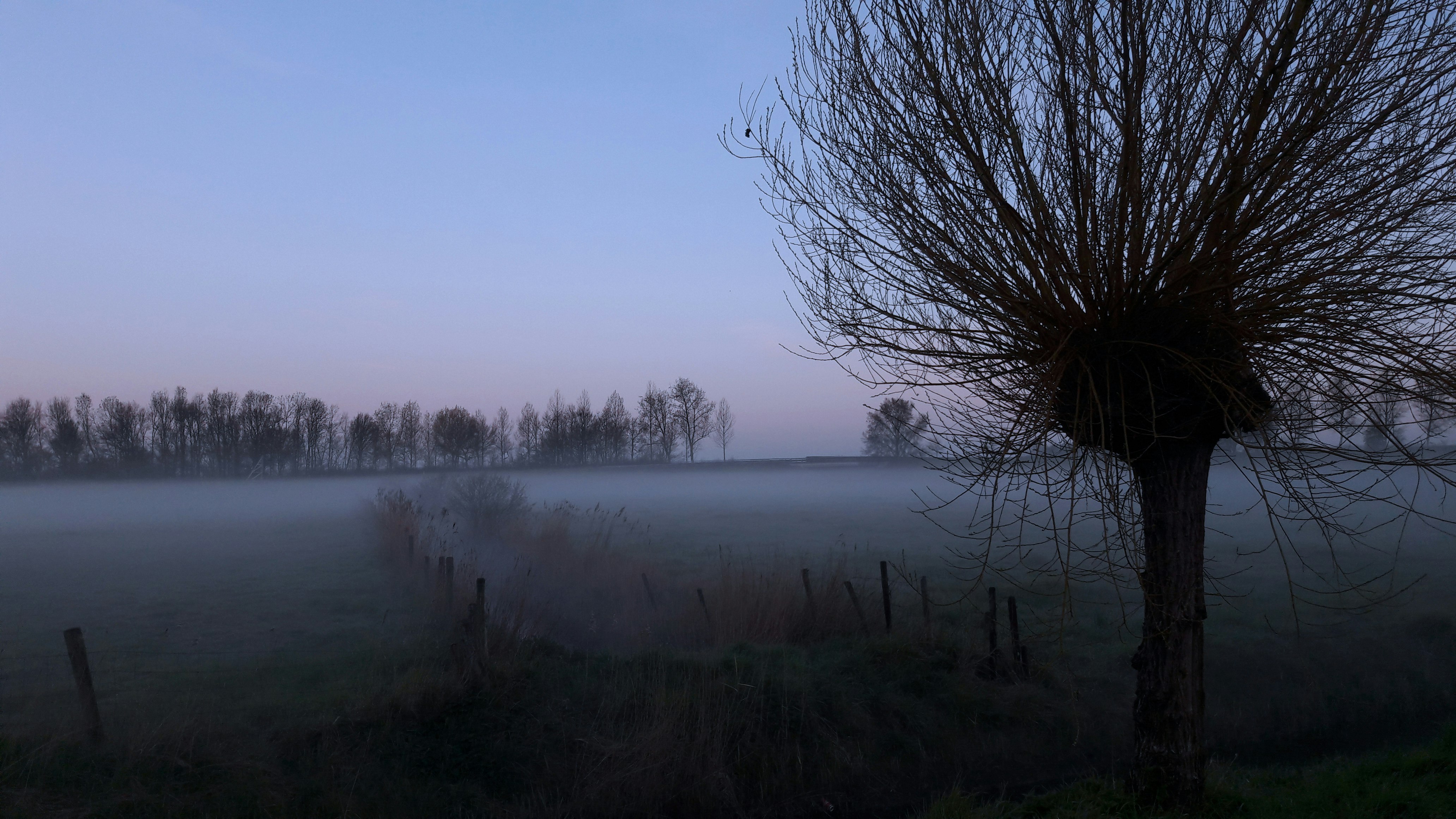 Misty Morning Zeeland, the Netherlands