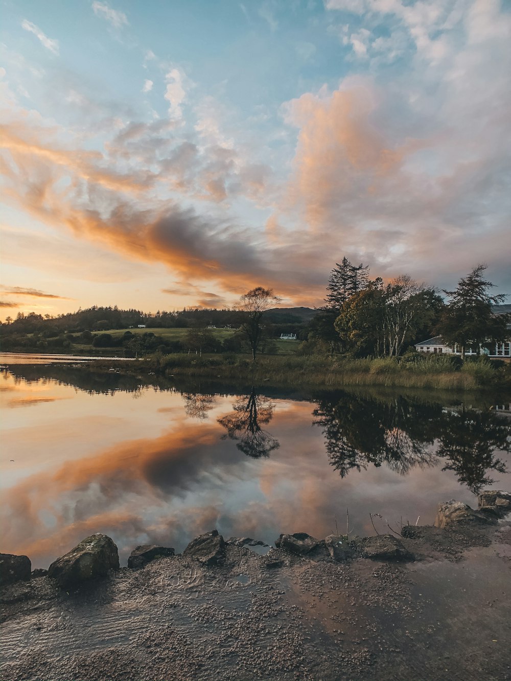 body of water near trees during sunset