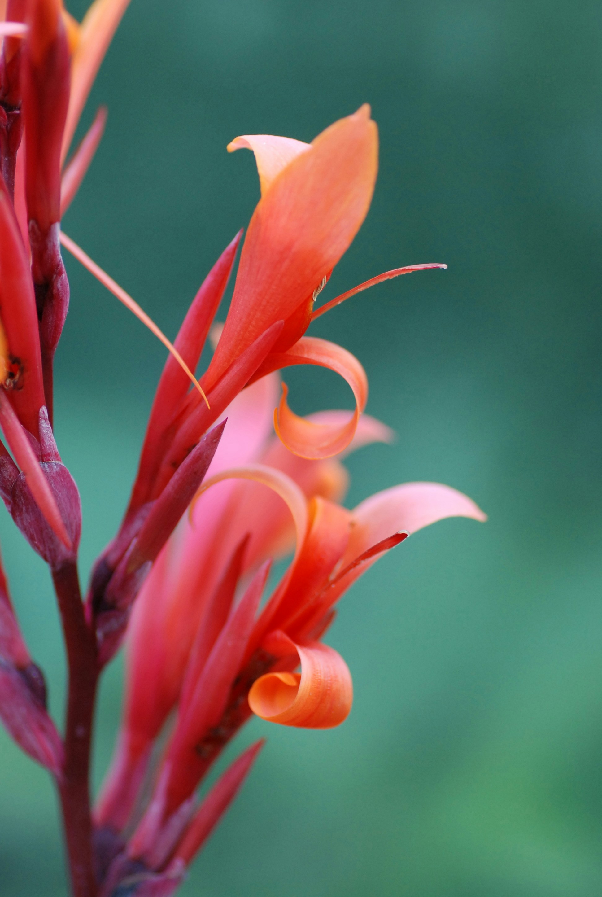 Photo by haneenkrimly