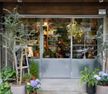 Welcoming front desk with friendly staff ready to assist customers in a cozy, plant-filled setting.
