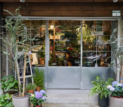 A quaint storefront with large glass doors surrounded by various potted plants, including leafy greens and colorful flowers. Inside, more plants are visible, creating a lush and inviting atmosphere. A chalkboard with writing leans against the wall to the left, adding a cozy, rustic feel.
