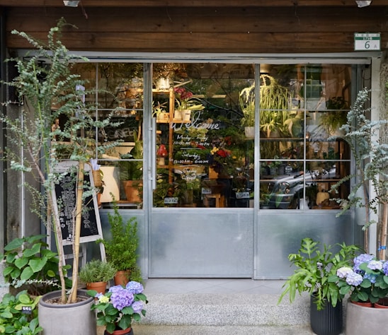 A cozy, inviting storefront of Urban Wellness Stores on a sunny London street, with plants and wellness products visible through the window.