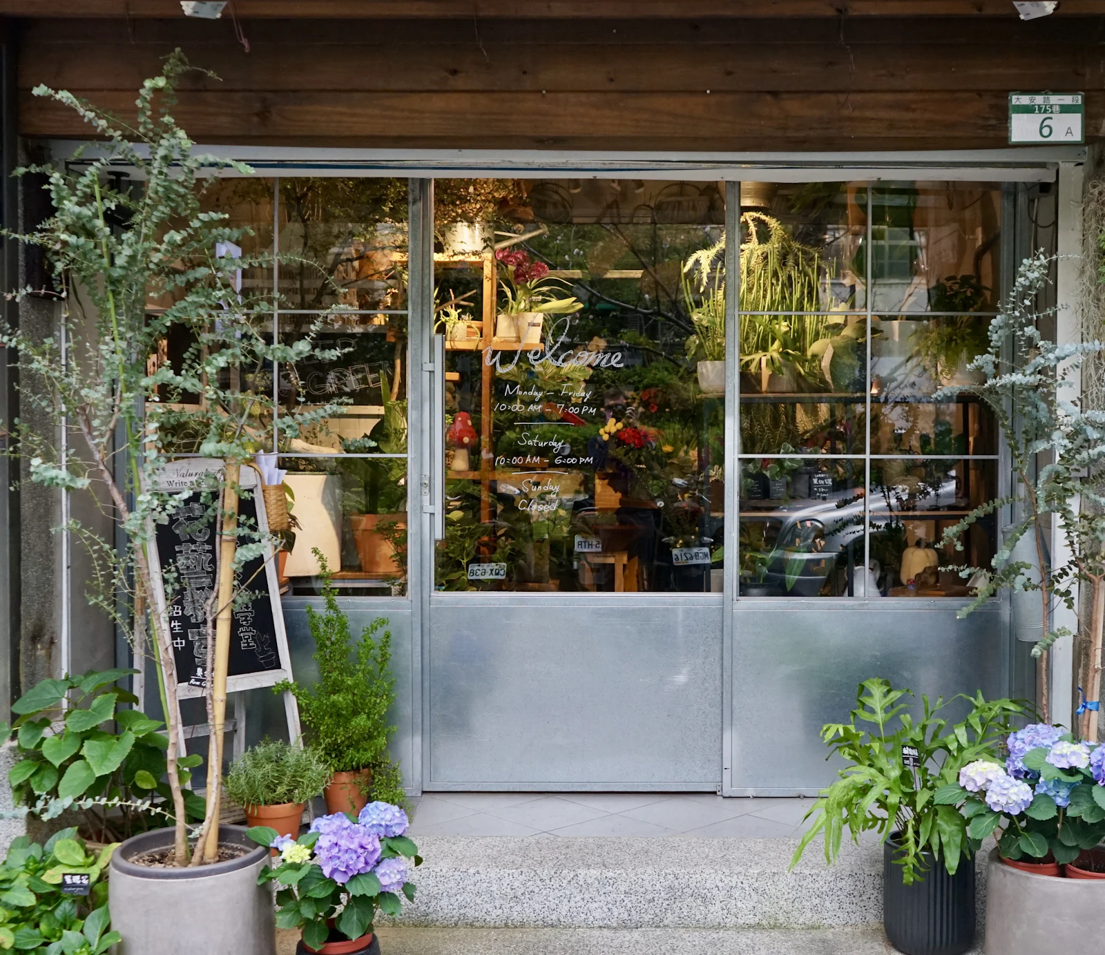A flower shop front in daylight, plants spilling out around the open door
