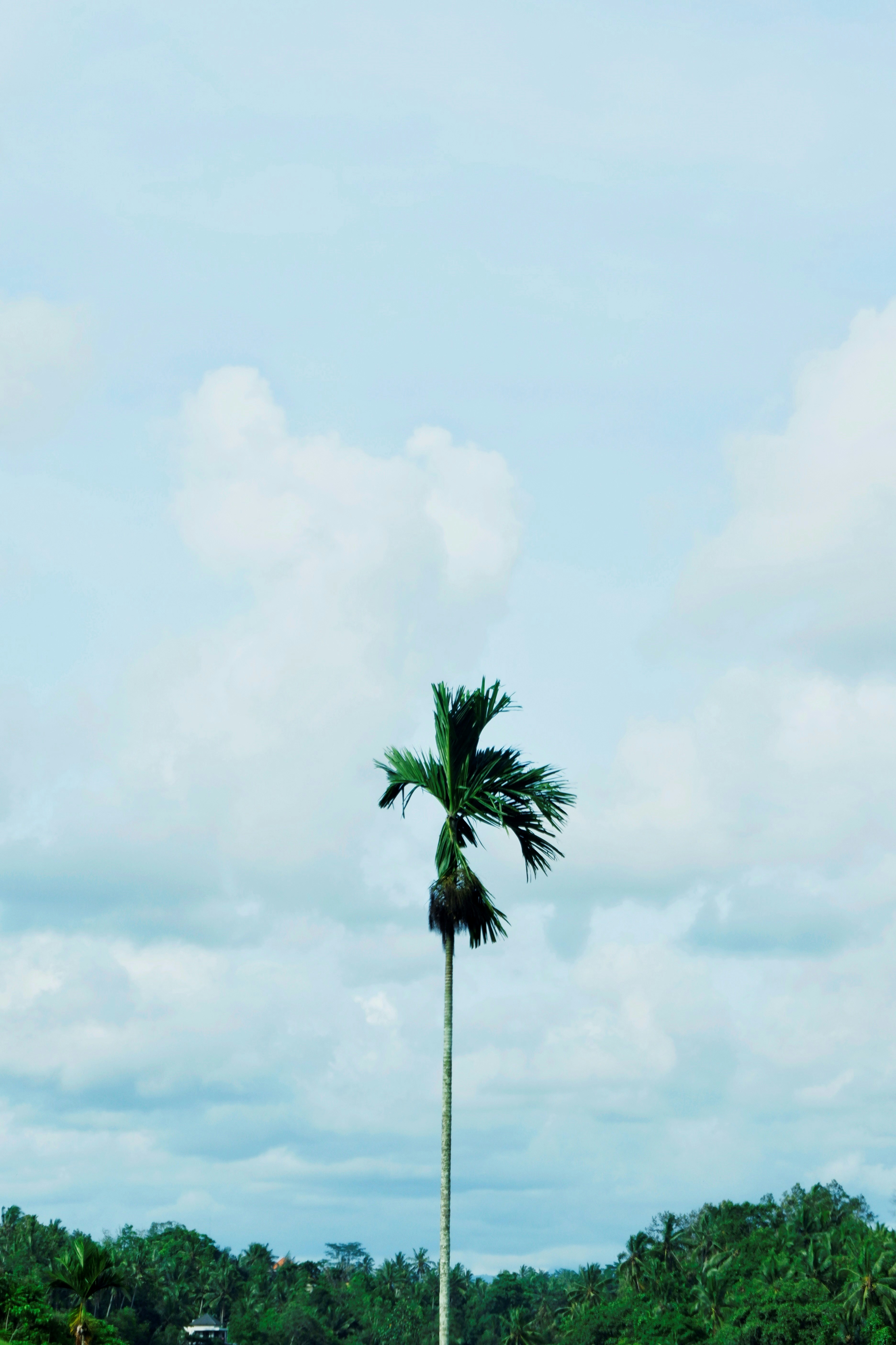 Photo by christojeffrey