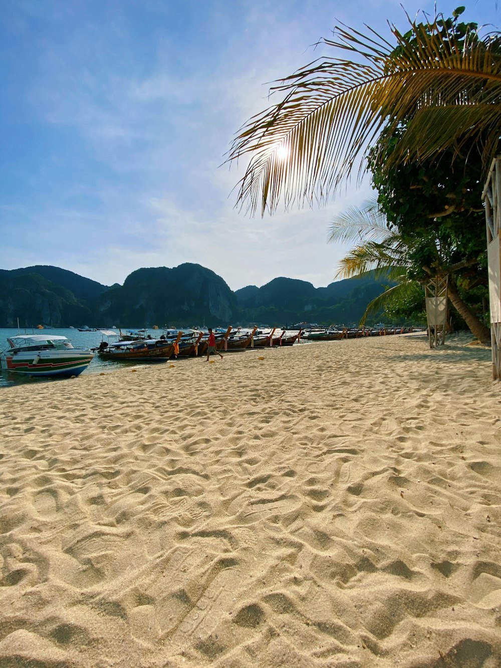 people on beach during daytime