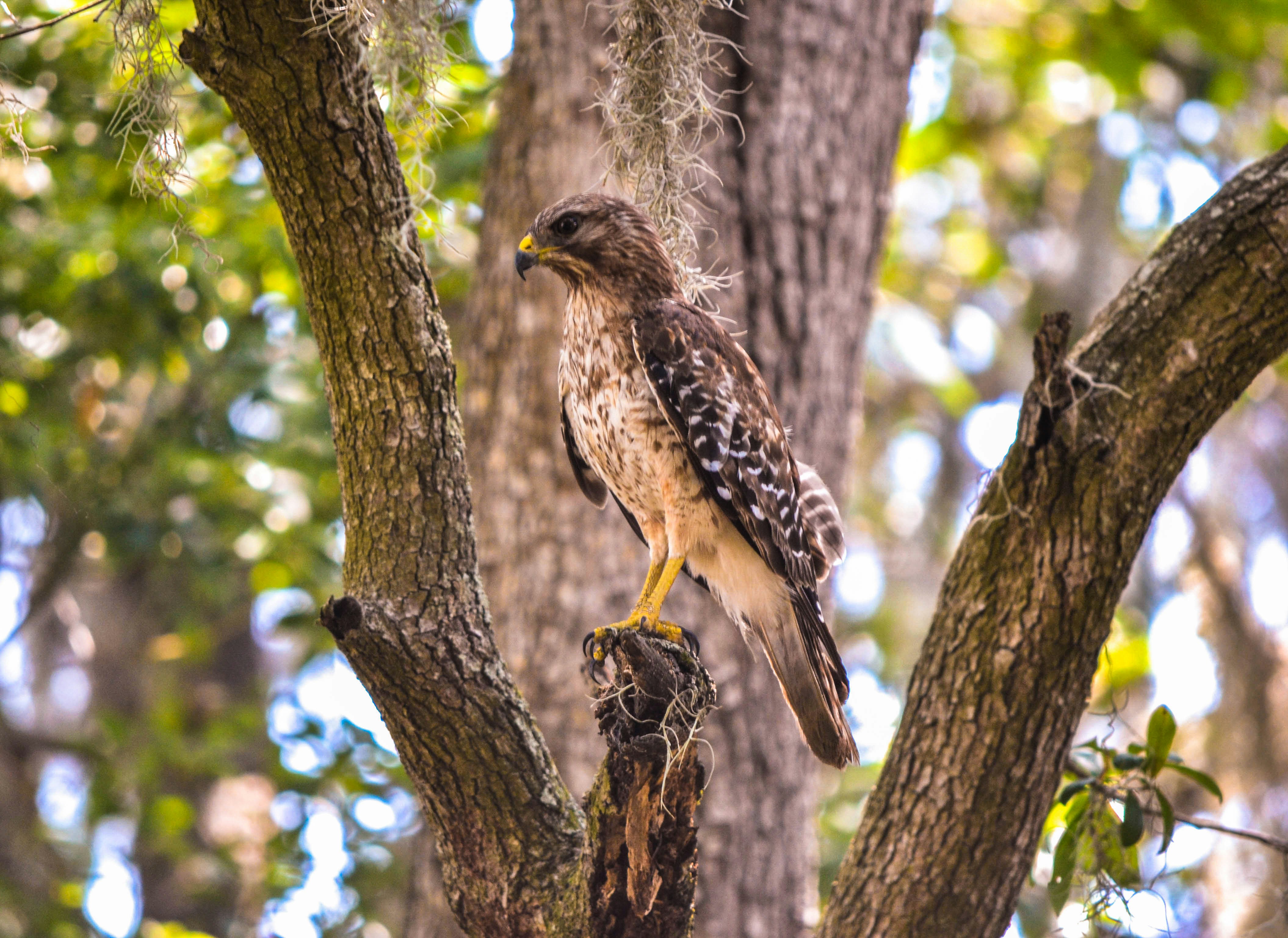 Photo by theozmaster