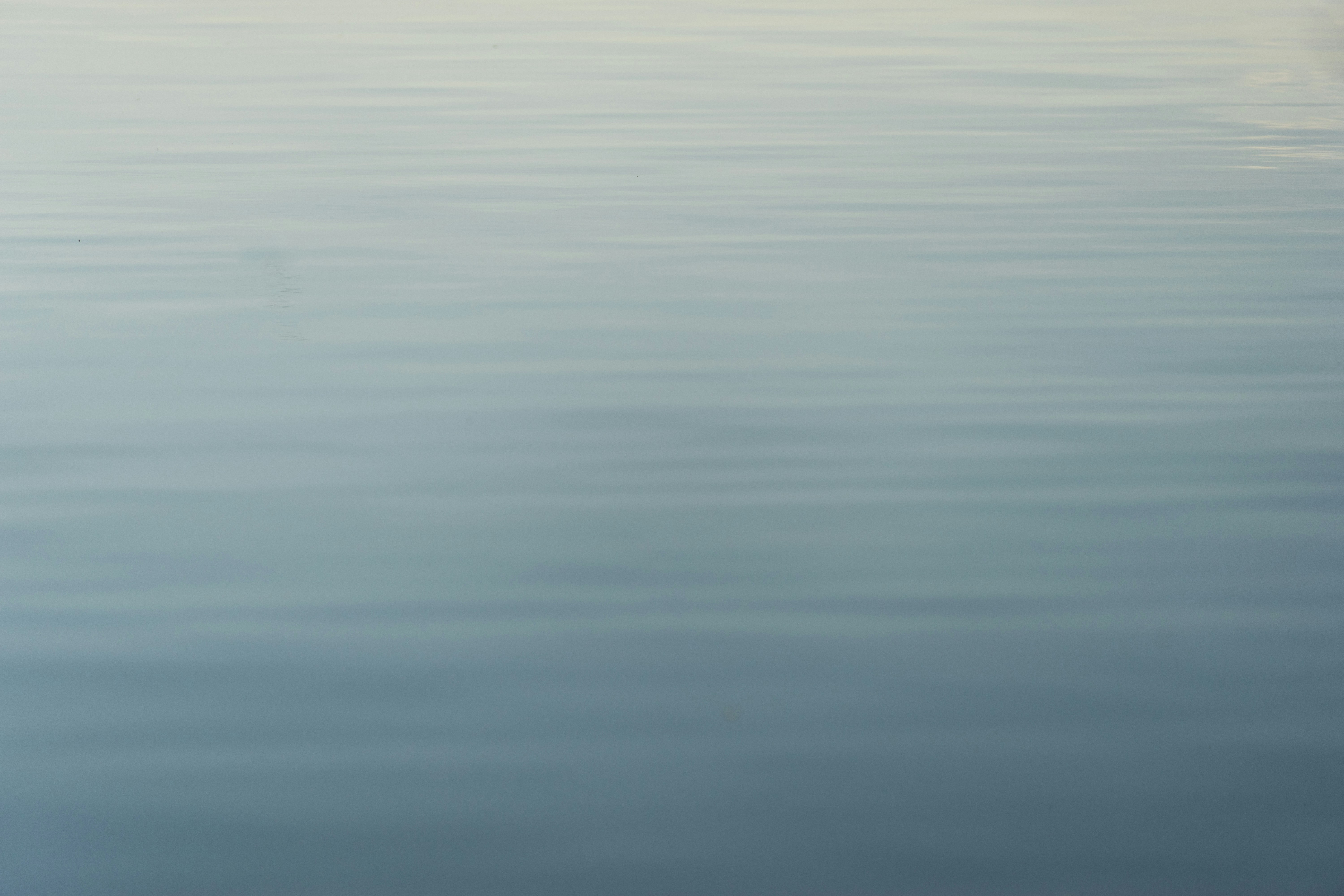 Photo by julianhochgesang