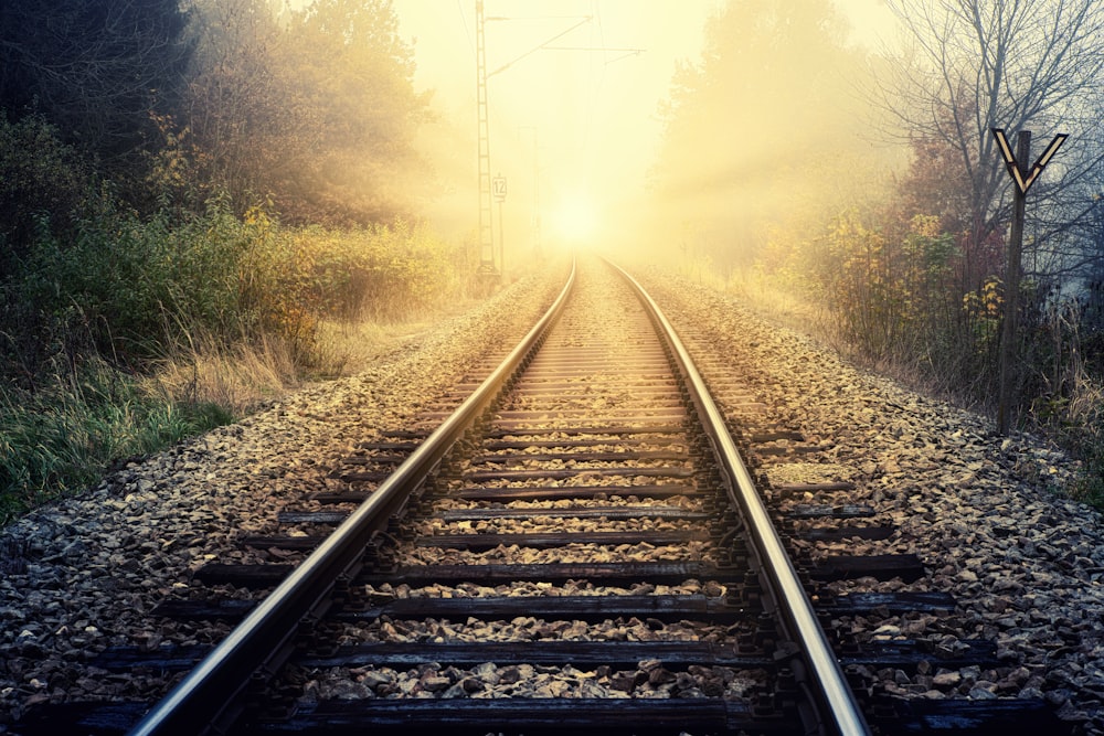 train rail between green trees during daytime