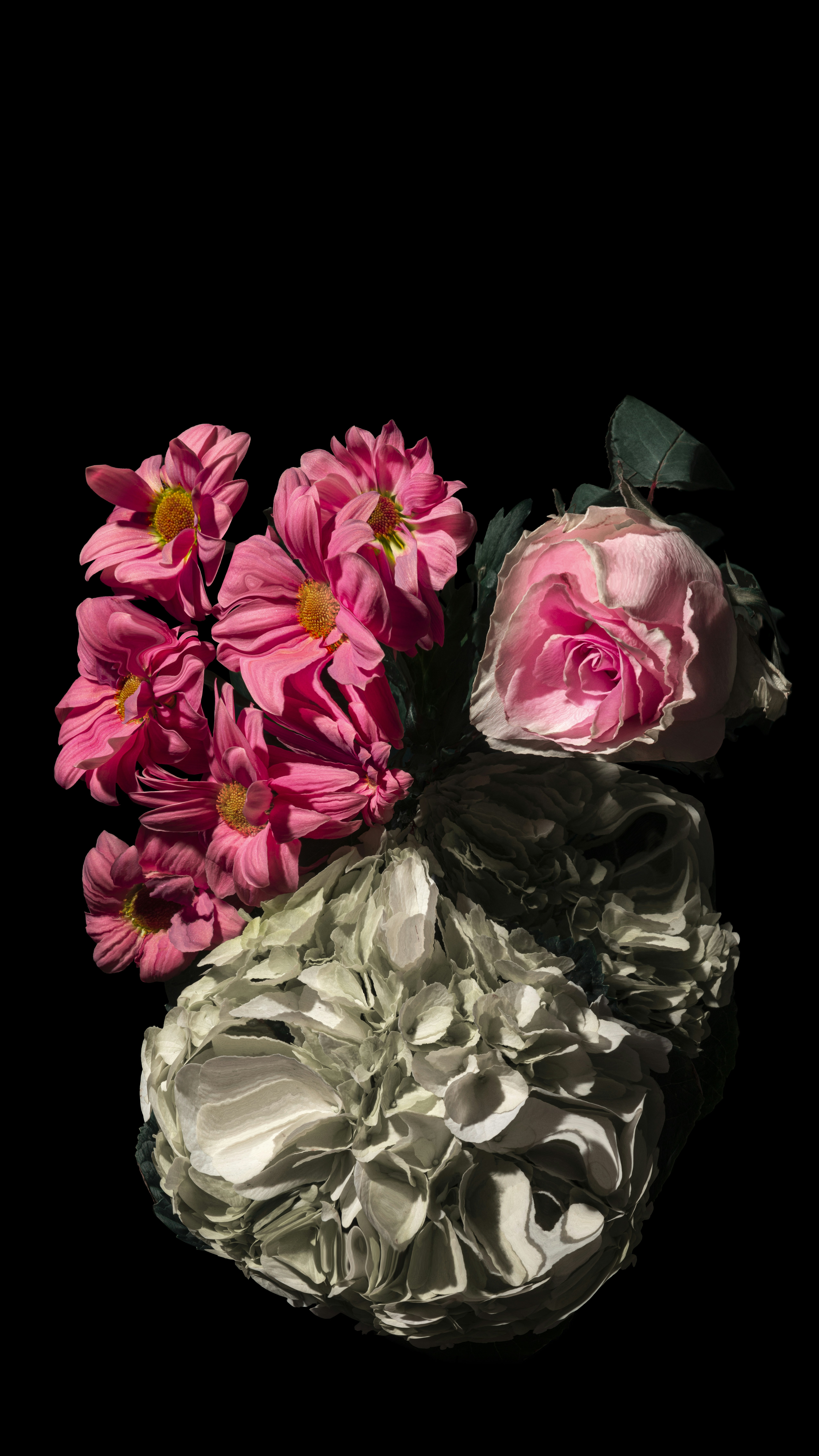 pink and white flowers with green leaves