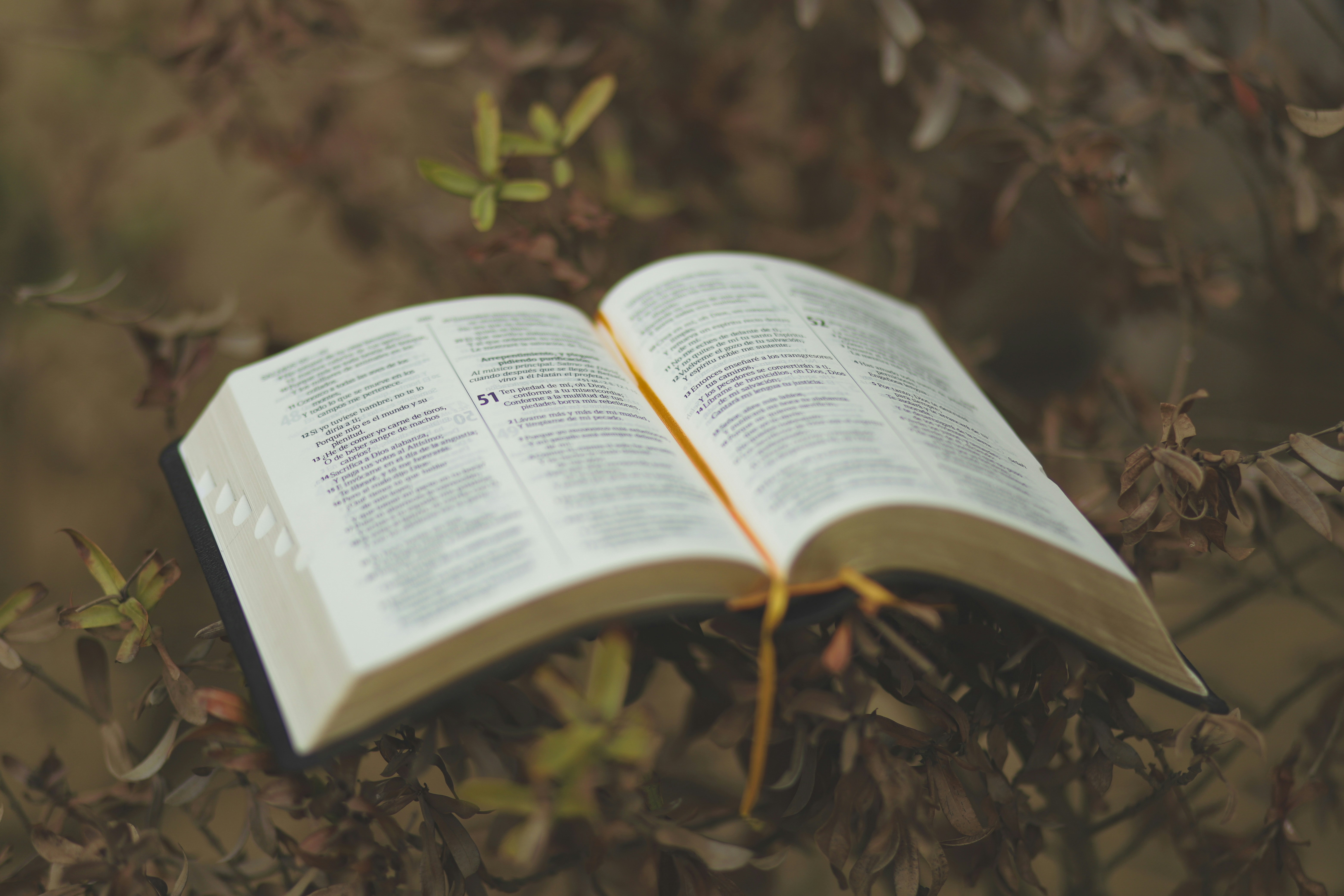 Photo by oscaresquivel