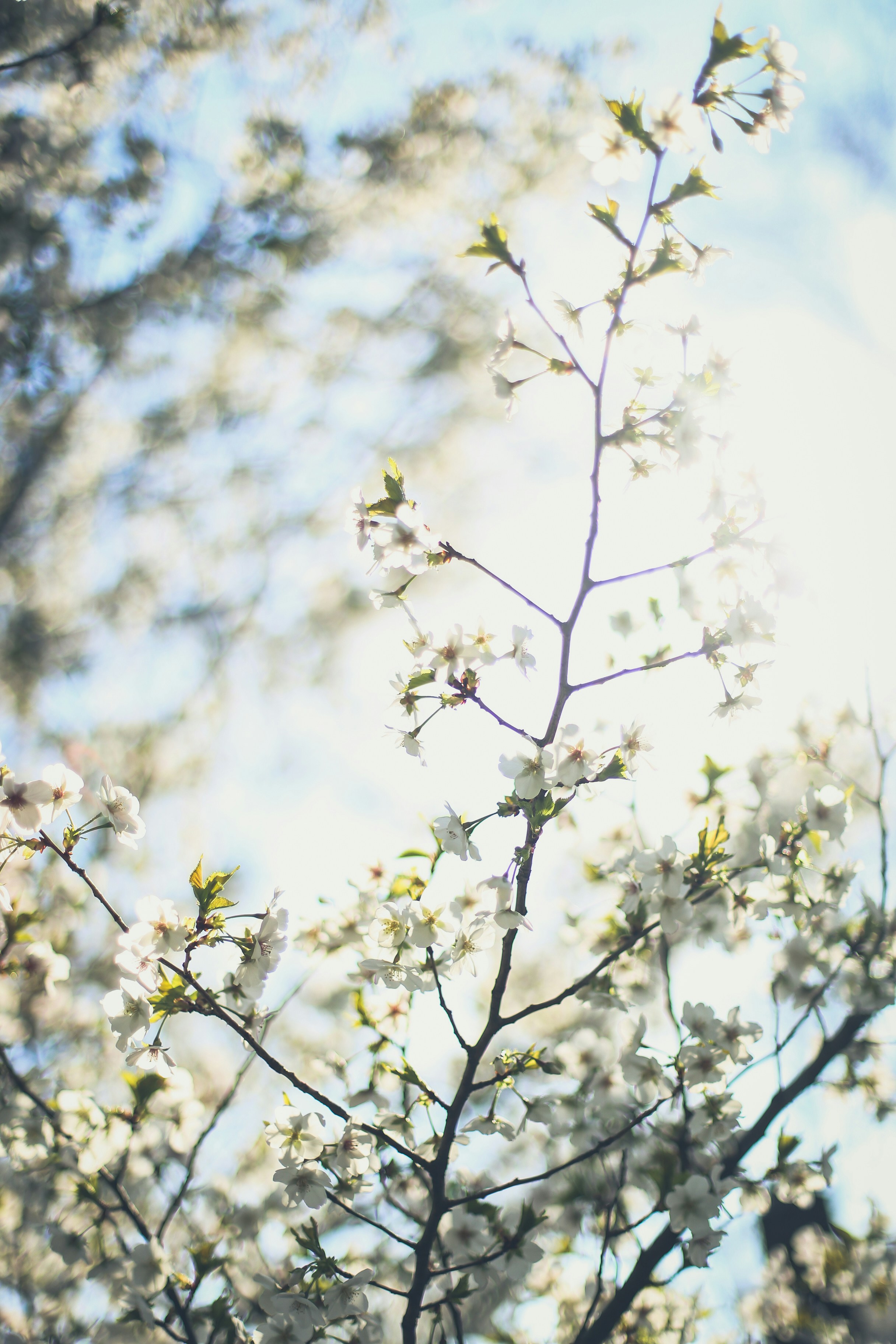 Photo by jessicalfadel