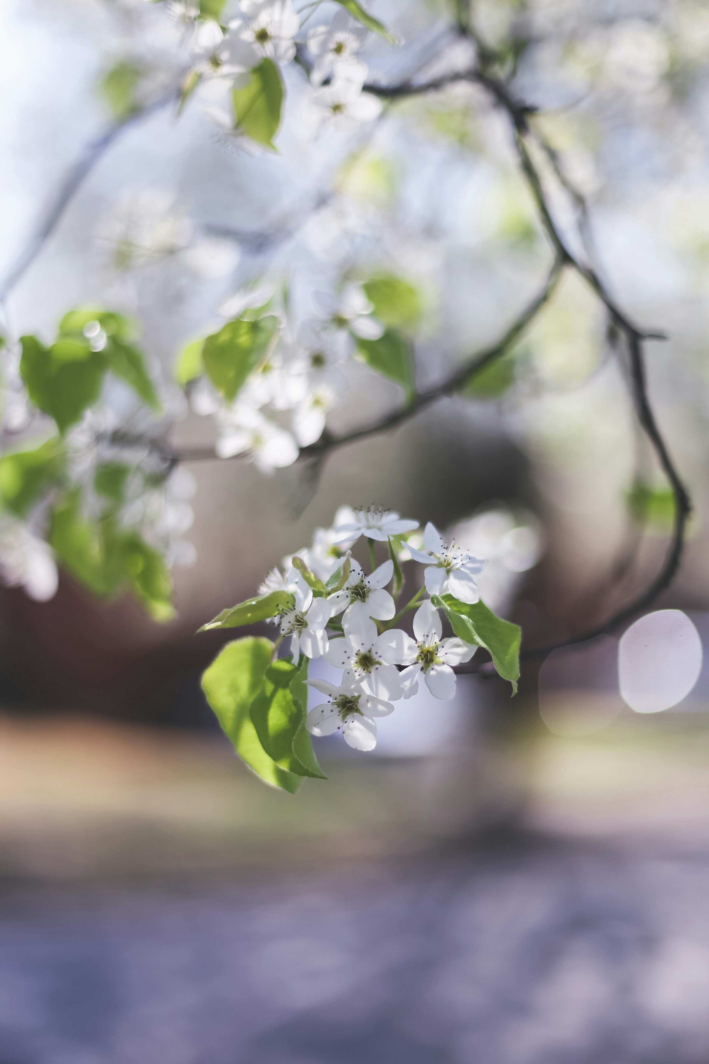 Photo by jessicalfadel