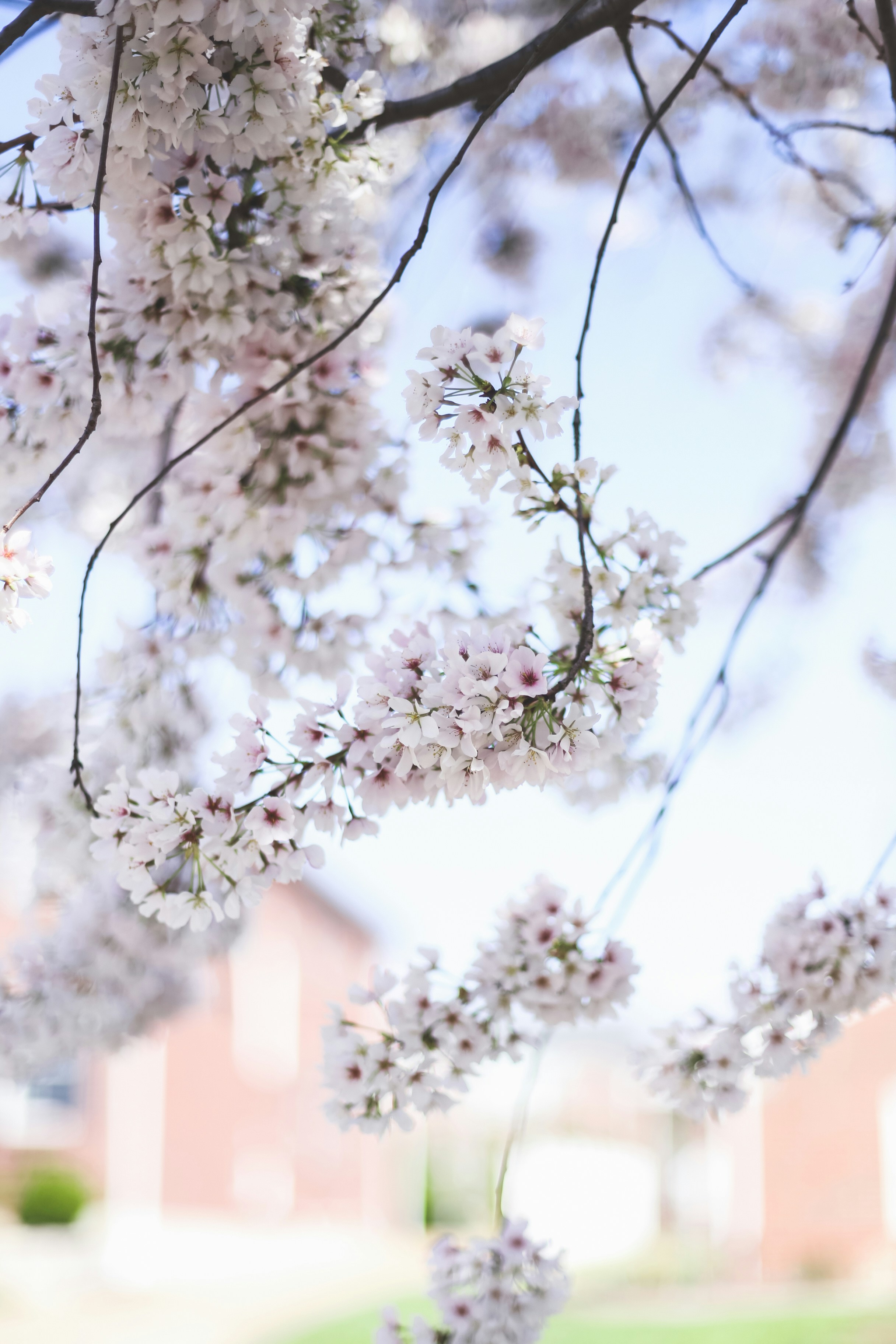 Photo by jessicalfadel