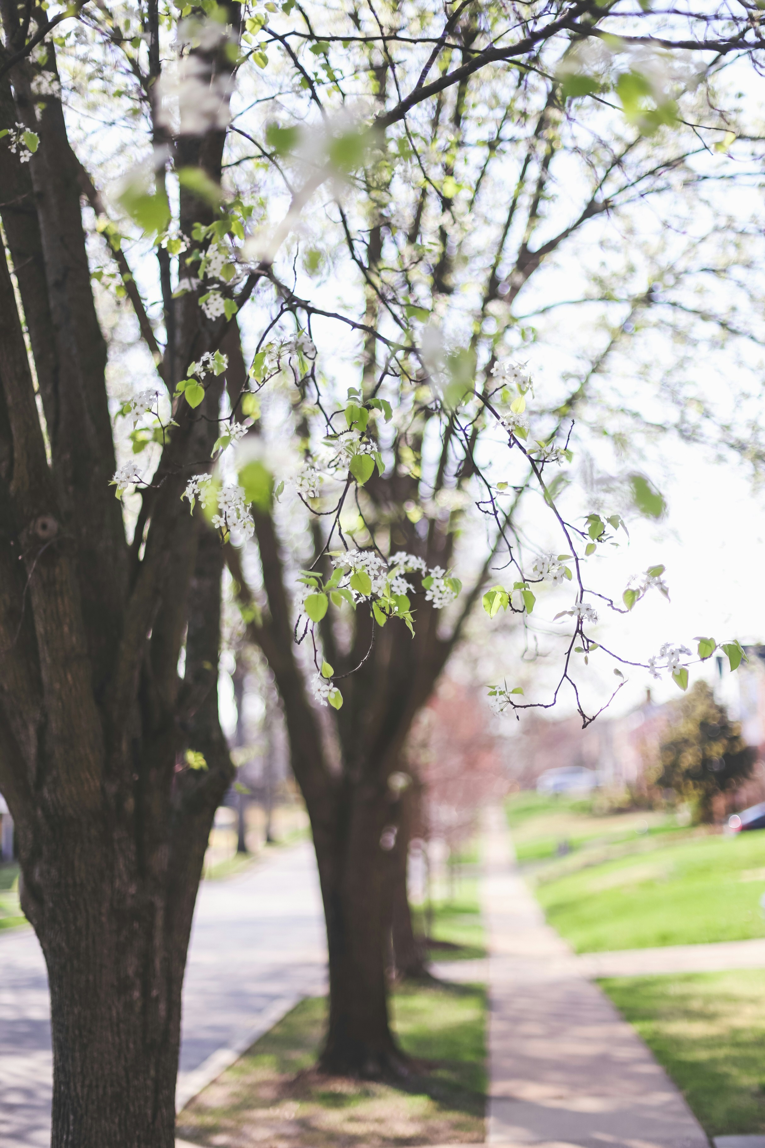 Photo by jessicalfadel